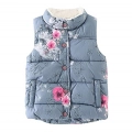 Vestes