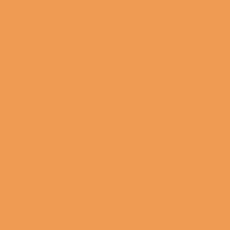 CARRELLO Bravo 2023 Amber Orange CRL-8512 Pastaigu rati