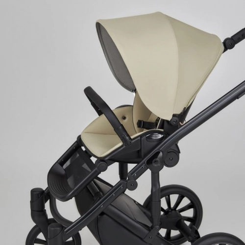 Anex M/Type Sage Bērnu rati 2in1