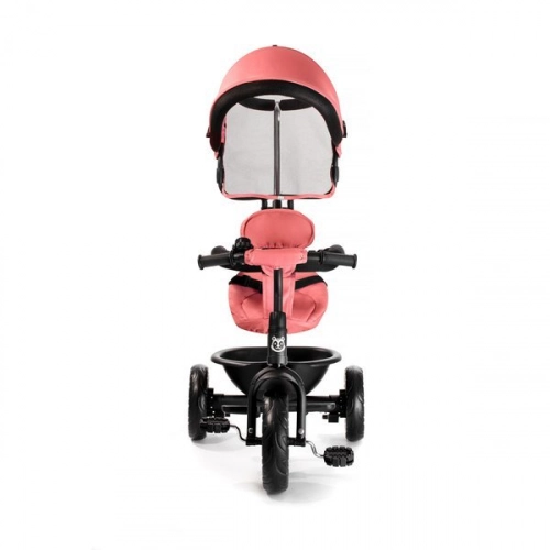 Bērnu trīsritenis Baby Tiger Fly Ruby