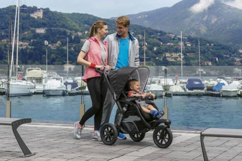 Chicco Trio Activ3 Red Berry Детская коляска 3в1