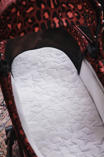 Cybex Mios 3.0 + Cloud Z2 i-Size Rosenrot Red + Rose gold frame Детская коляска 3in1