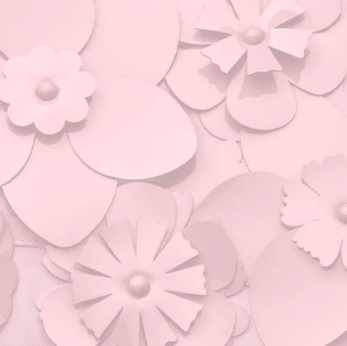 Cybex Priam Pale Blush Simply Flowers + Matt black frame Коляска с Люлькой