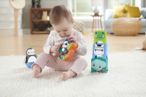 Fisher Price grabuļu komplekts Skill Builders HFJ93