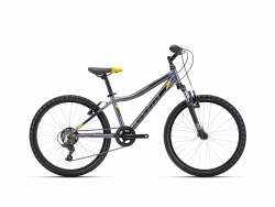 Детский велосипед CTM Berry 2.0 24" Grey yellow