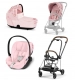 Pale Blush Simply Flowers 3.0 + Chrome Brown