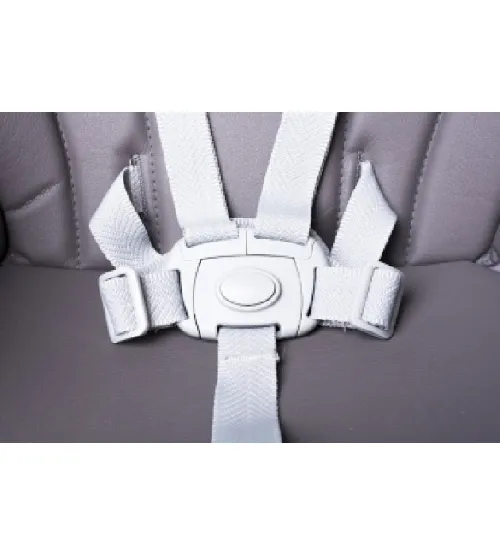 4BABY MASTER grey 2in1 Barošanas krēsliņš