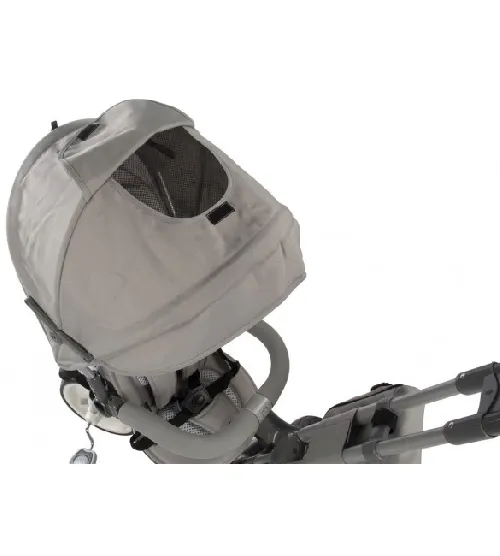 Детский трехколесный велосипед SunBaby LITTLE TIGER T500 grey J01.007.1.6