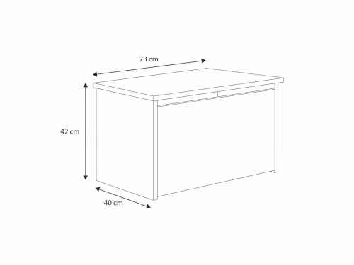 Bērnu rotaļlietu kaste DARIA printed graphite panel