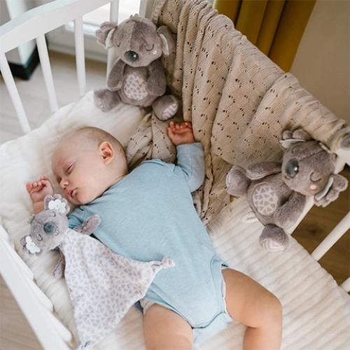 Mīļlupatiņa(miega lupatiņa) KOALA COCO 1635