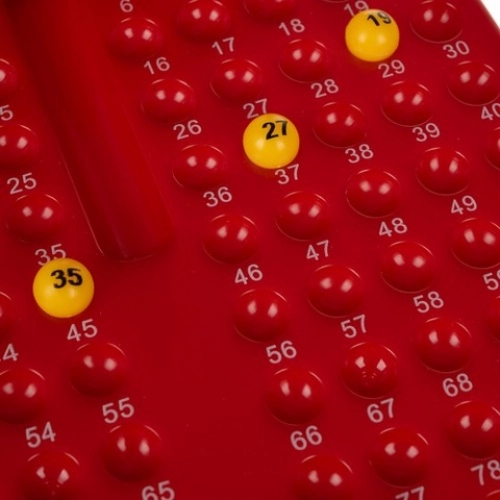 Spēle BINGO 25006