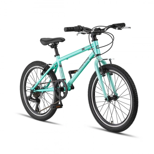 Bērnu velosipēds Champions Essenza 20 (ESK2011) tirkīzs