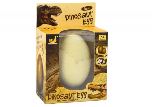Archaeologist Set Dinosaur Egg Excavation Fossil Tools