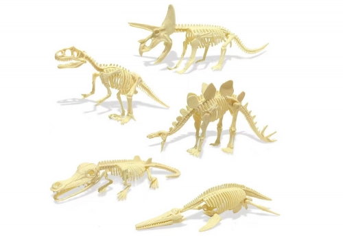 Archaeology Set Dinosaur Egg Fossils