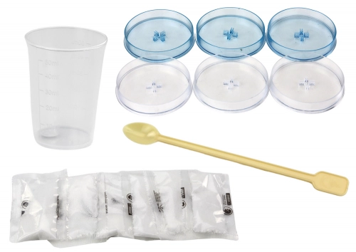 Creative Educational Kit for Growing Crystal Trees
