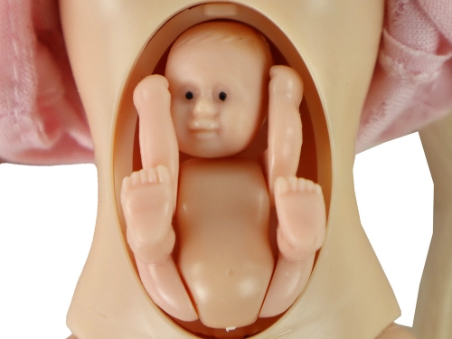 Doll Family Boy Girl Blond Hair Pregnancy