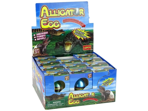 Growing Crocodile Alligator Egg 6cm