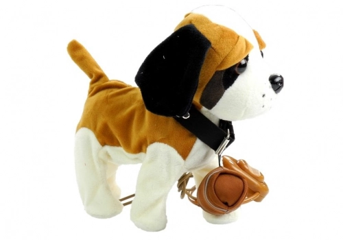 Interactive Dog On a Leash with House St Bernard