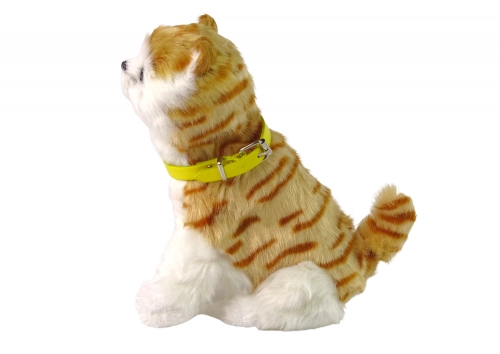 Interactive Plush Kitty Soft fur Stroke its head and learn its functions
