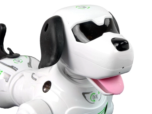 Interactive Remote Controlled Robot Doggy