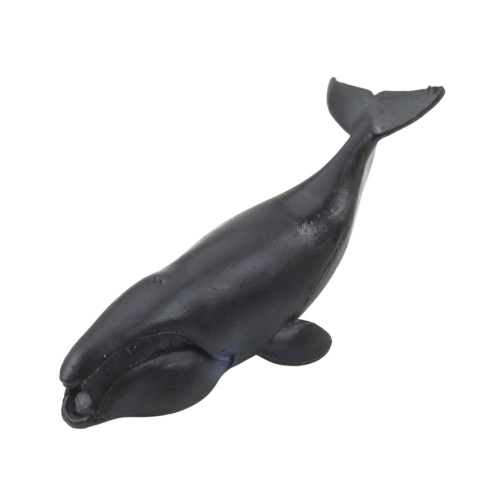 Mini Figurine Set Marine Animals Mammals Killer Whale Photo Dolphin 6-8cm 6pcs