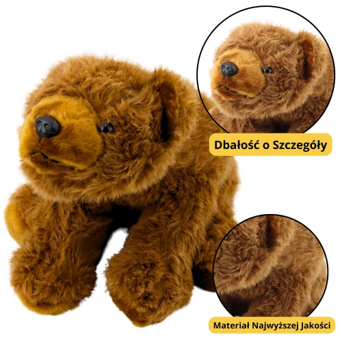 Plush Toy Brown Bear Cuddly Toy 28cm
