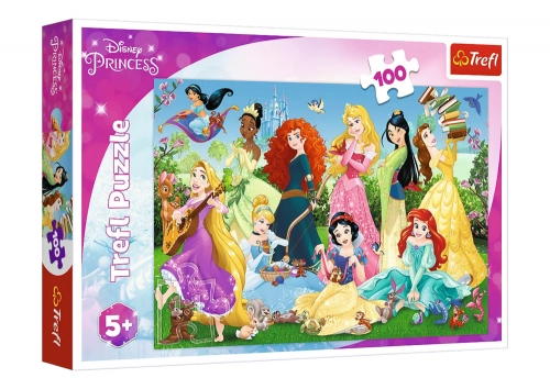 Puzzle Charming Princesses 100pcs Trefl 16417