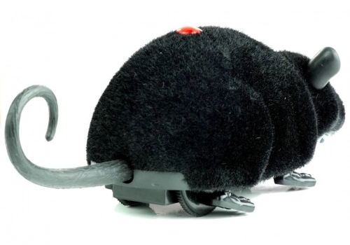 Radiovadāma pele Black