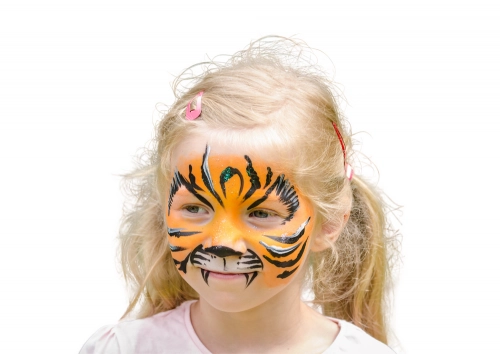 Set of 6 Colorful Face Painting Crayons
