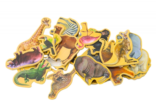 Set of Wooden Magnets Animals 20 Pieces Colorful