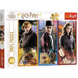 Harry Potter Puzzle 200 pcs. In the world of magic and sorcery Trefl 13277