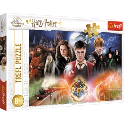 Harry Potter Puzzle 300 pcs. Mysterious Harry Potter 23001