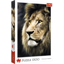 Puzzle - 1500 - Lion portrait / 500 px 26139
