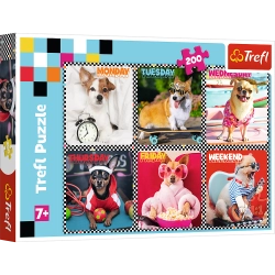 Puzzle - 200 - Happy dogs - Trefl 13279