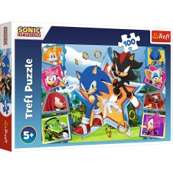 Puzzle - "100" - Meet Sonic Trefl 16465
