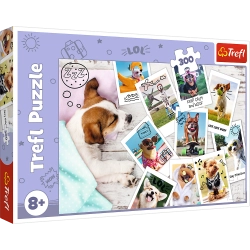 Puzzle - "300" - Holiday photos / Trefl 23003