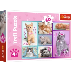 Puzzle - "60" - Sweet Kittens / Trefl 17373