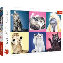 Puzzle 500 pcs. Kittens Trefl 37377