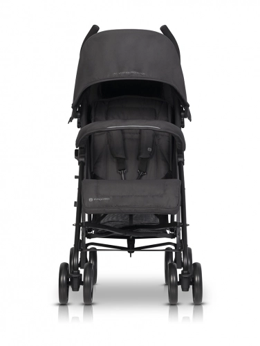 Euro-Cart Ezzo Iron Прогулочная коляска