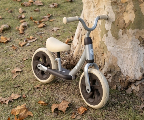 Balansa ritenis Qplay Trainer Silver