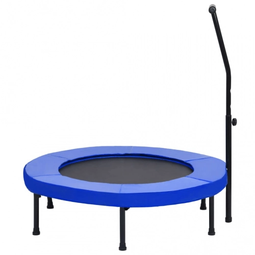 Fitnesa Batuts Ar Rokturi Un Aizsargapmali, 102 Cm Vidaxl