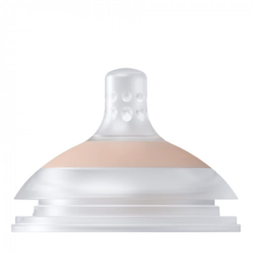 BB80456