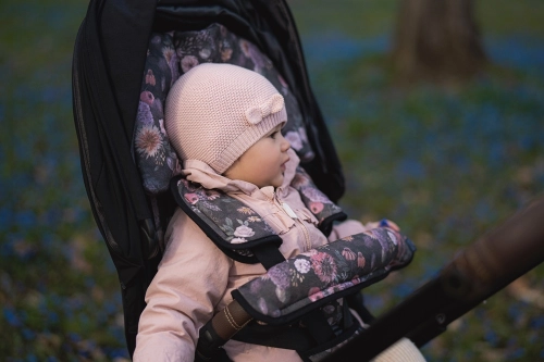 Plecu drošības jostu pārvalki Ornithology