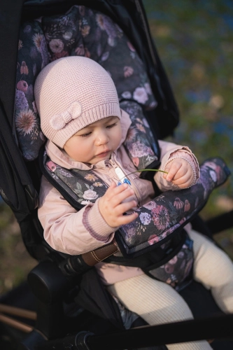 Starpsiksnas pārsegs ratiņiem un autosēdeklim Taste of Summer