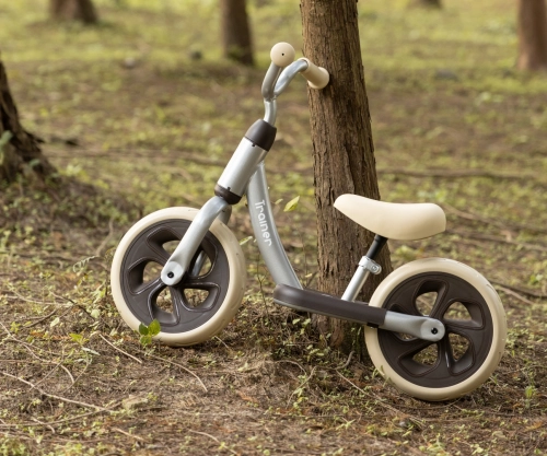 Balansa ritenis Qplay Trainer Silver