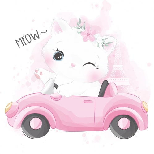 Детская кровать LUK с ящиком и матрасом 160x80 Cat