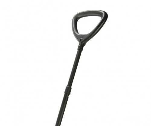 Bērnu trīsritenis Qplay Ant Plus Rose