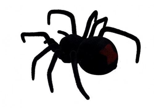 Big Hairy Spider Black Widow Remote Controlled