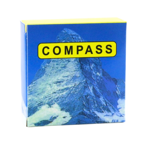 Brass Tourist Compass with Luminous Pointers Gold