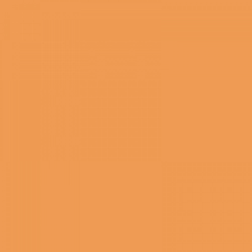 CARRELLO Bravo 2023 Amber Orange CRL-8512 Pastaigu Ratiņi